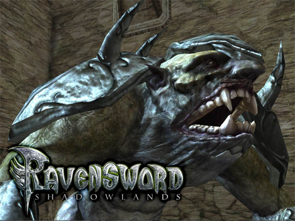 Ravensword Shadowlands is a role playing game