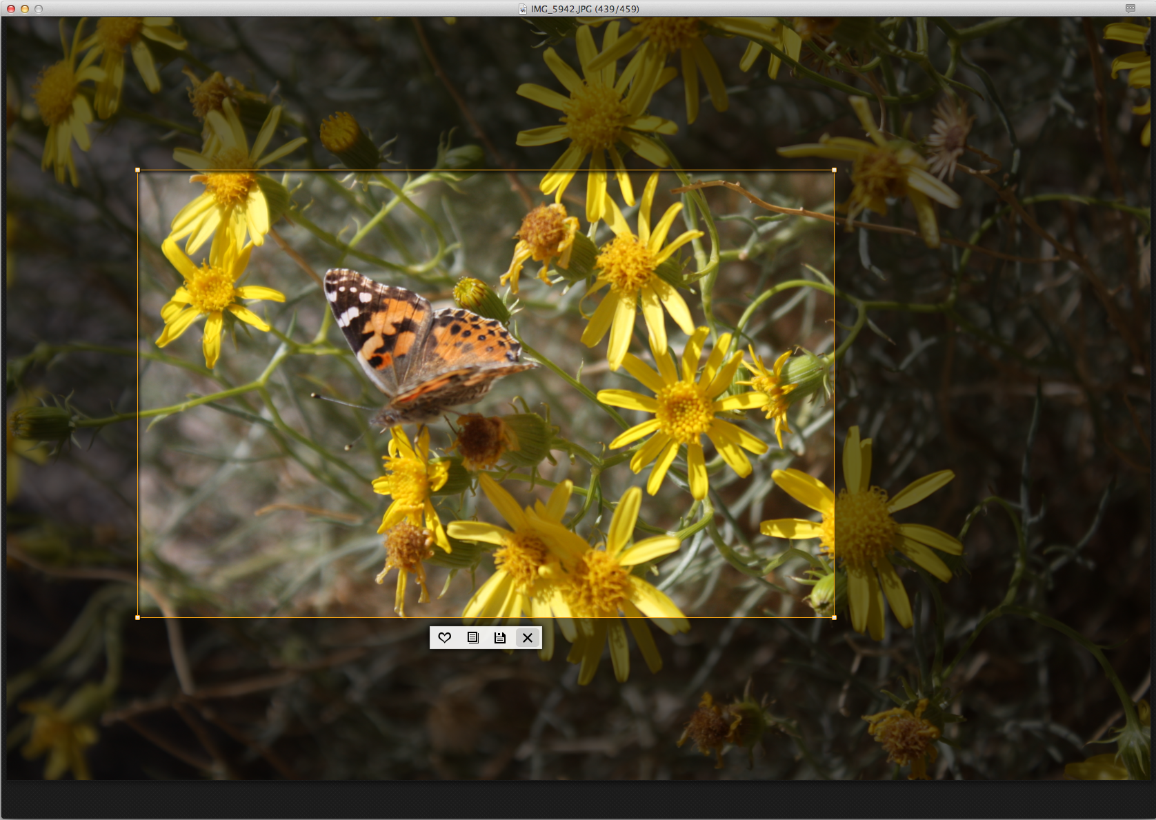 Photo+ For Mac Streamlines And Simplifies Photo Viewing